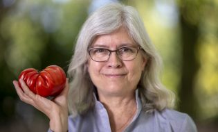 Anne Britt, a professor in the UC Davis Department of Plant Biology