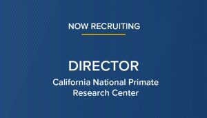 CNPRC Director Search: Position Description