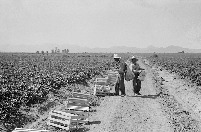 Mexicans Imperial Valley 1937