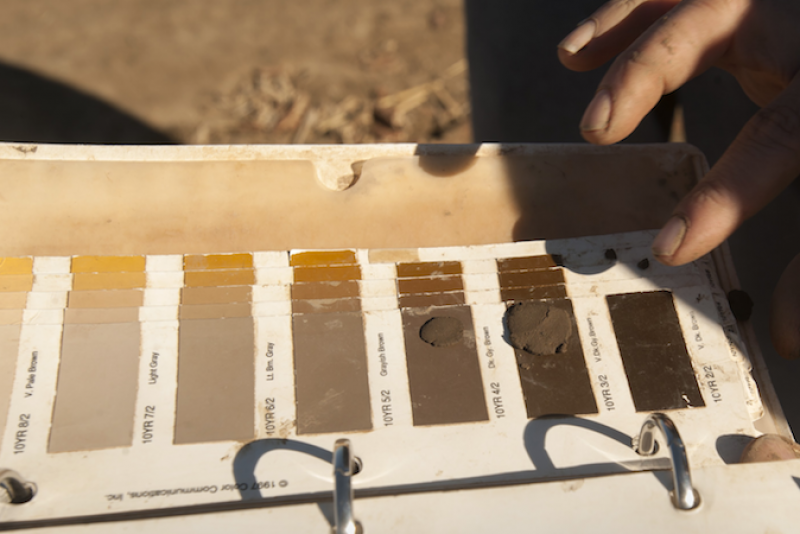Soil Color Swatches