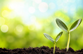 Uncovering the Hidden Life of Soil