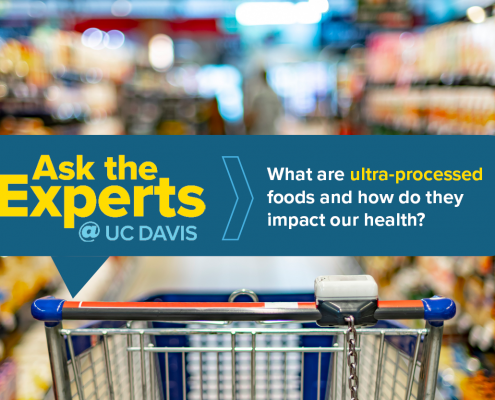 Ask the Experts ultra-processed foods