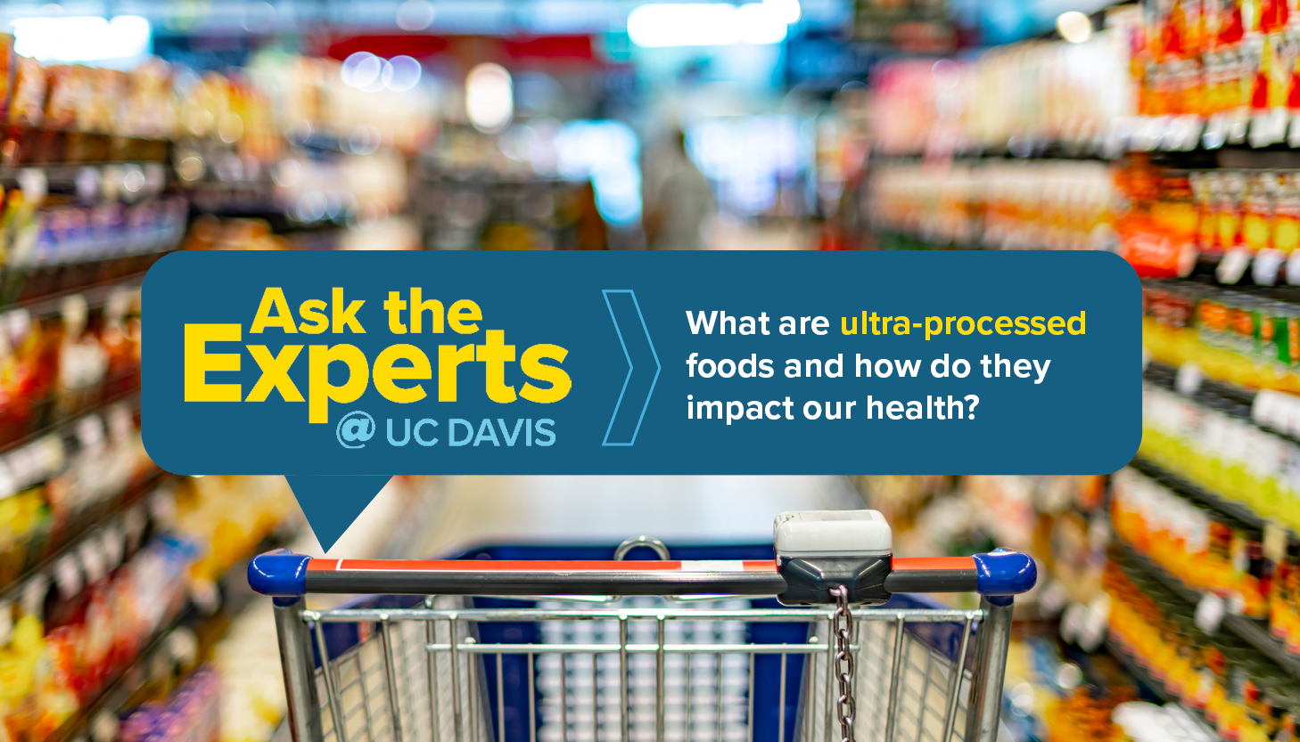 Ask the Experts ultra-processed foods