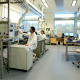 wide view of people working in a lab