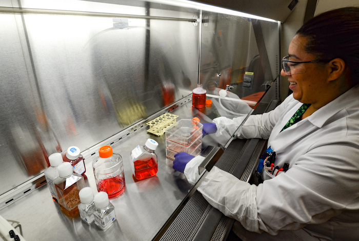 Jasmine Carter, a graduate research assistant at the UC Davis Stem Cell Program, October 18, 2019. (AJ Cheline/UC Davis)