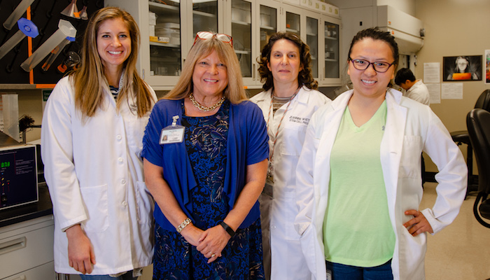 From left to right: Heather Dahlenburg, Jan Nolta, Jeannine Logan White, Sheng Yang