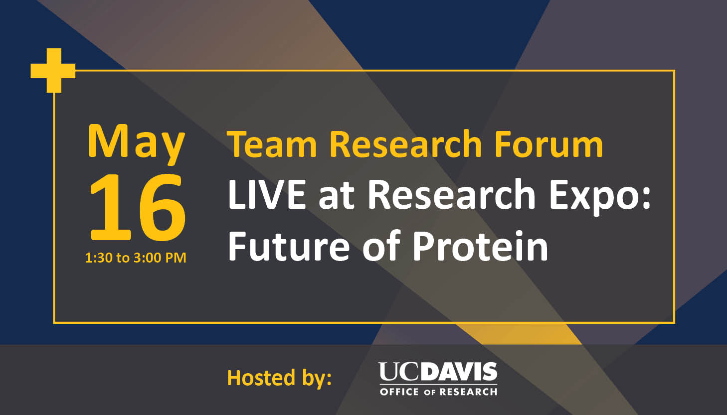 team research forum future of protein