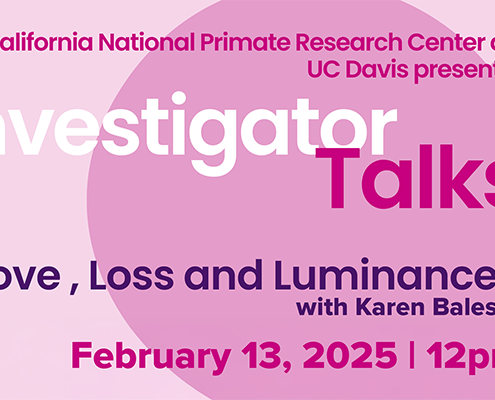 February 13: Investigator Talk: Love, Loss and Luminance with Karen Bales