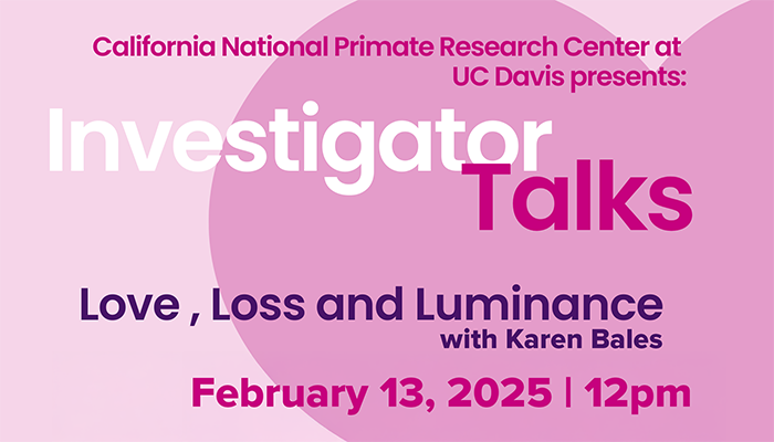 February 13: Investigator Talk: Love, Loss and Luminance with Karen Bales