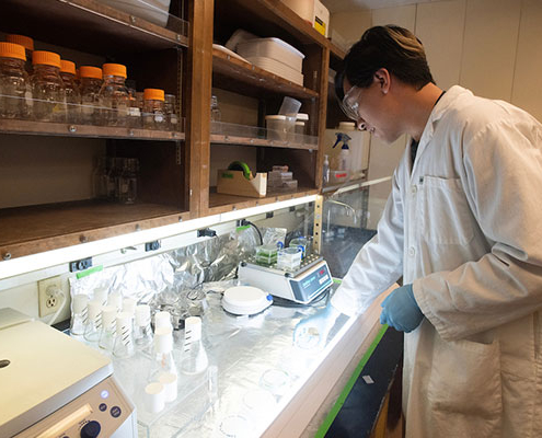 Lab technician working at bench in lab.