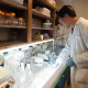 Lab technician working at bench in lab.