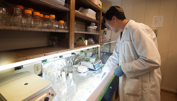 Lab technician working at bench in lab.