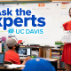Education Experts Break Down the Lingering Impacts and Unexpected Outcomes of COVID-19 Pandemic