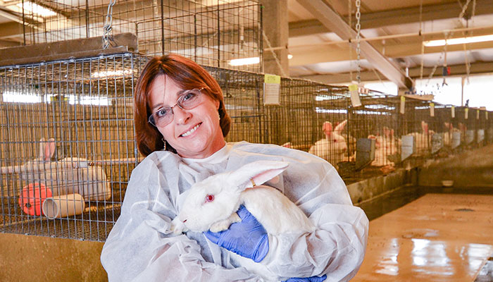 Dr. Laurie Brignolo Appointed to Lead Campus Animal Care for Teaching and Research