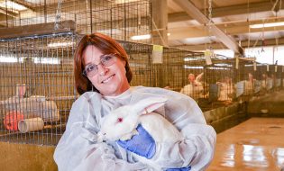 UC Davis Attending Veterinarian Laurie Brignolo Awarded with the ACLAM Mentor Award for 2022