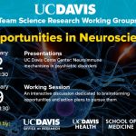 Team Science: Opportunities in Neuroscience