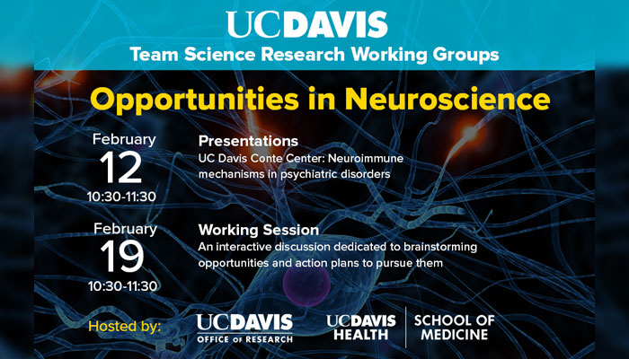 Team Science: Opportunities in Neuroscience