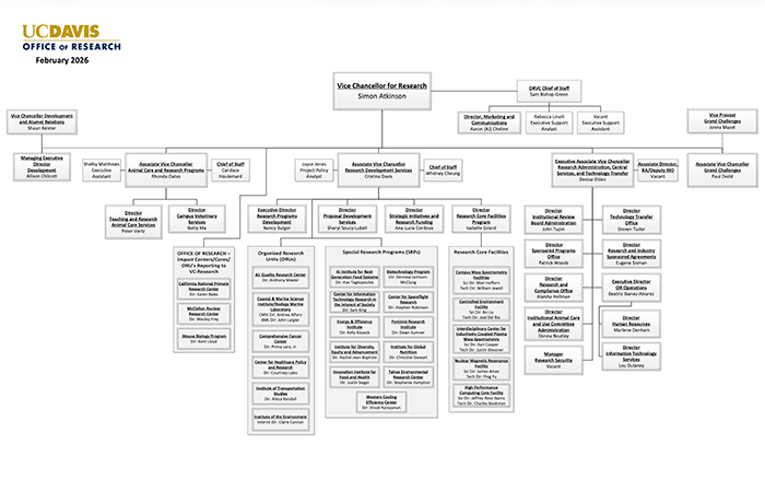 Office of Research Organization Chart