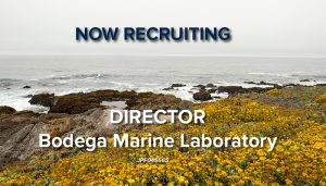 Now Recruiting: Director - Bodega Marine Laboratory
