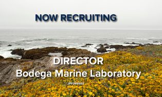Now Recruiting: Director - Bodega Marine Laboratory