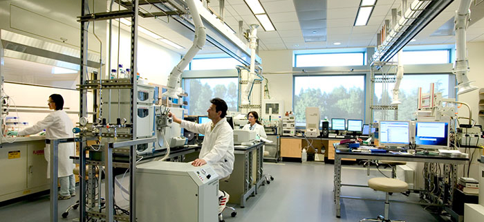 Researchers in Laboratory