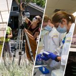 UC Davis Sets New Record With $968 Million in Research Funding