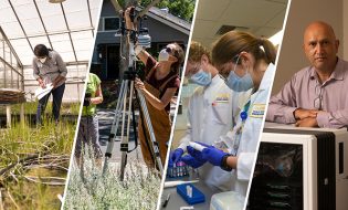 UC Davis Sets New Record With $968 Million in Research Funding