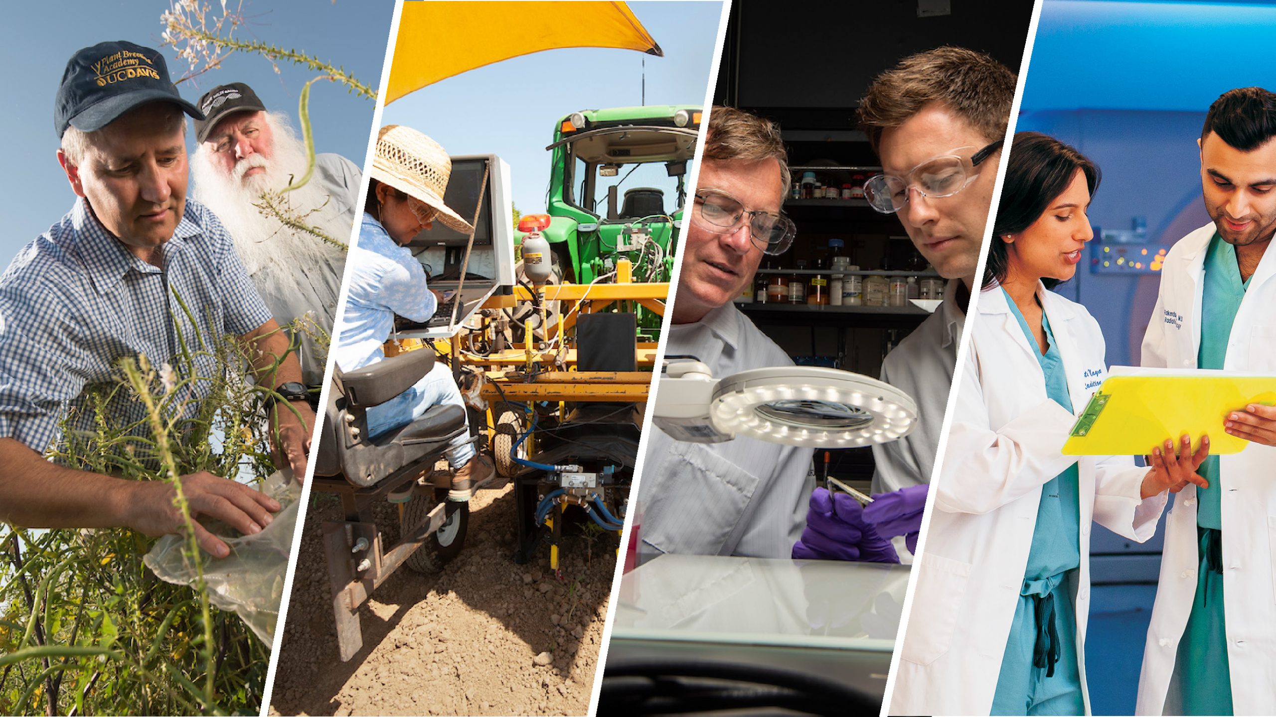compilation of four photos depictign research: a scientist looking at plants in a field, a scientist looking at a computer on the back of a piece of farm equipment, two scientists looking through an illuminated magnifying glass, and two doctors looking at a chart