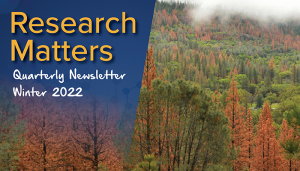 Research Matters Quarterly Newsletter Winter 2022