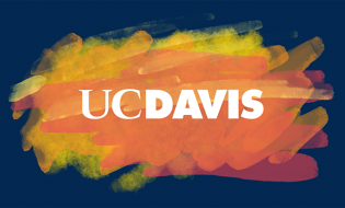 UC Davis Sets Record With $941 Million in Research Funding