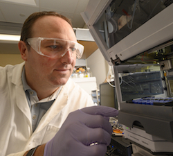 UC Davis Associate Professor Justin Siegel in his lab.