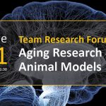 Team Research Forum: Aging Research & Animal Models