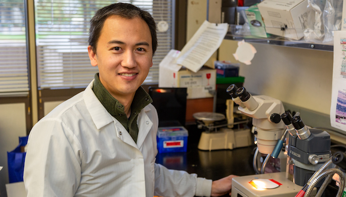 Glenn Yiu, an associate professor in the Department of Ophthalmology and Vision Science.
