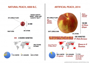 comparison of a "natural" vs. "artificial" peach