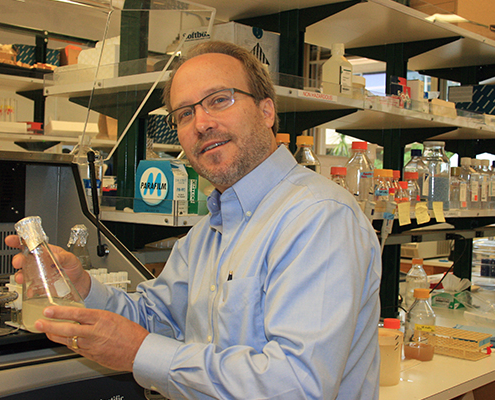 UC Davis Researchers Capitalize on Important Agricultural Traits Discovered in Wild Chickpeas