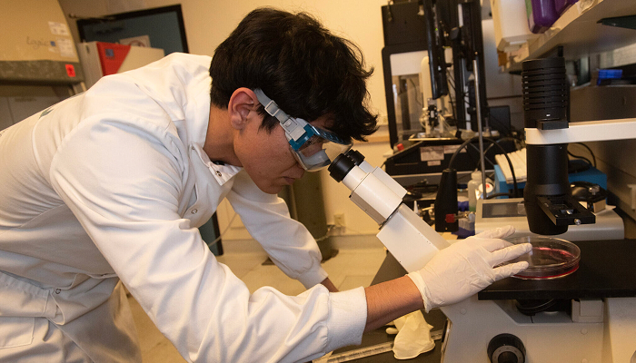 A researcher in a white coat and safety glasses examines a sample under a microscope in a laboratory.