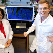 metabolite-reverses-gut-dysfunction Metabolite Reverses Gut Dysfunction and Boosts HIV Therapy