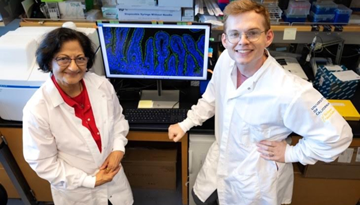 Metabolite Reverses Gut Dysfunction and Boosts HIV Therapy