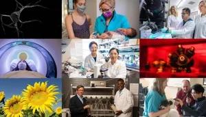UC Davis Exceeds $1 Billion in Research Awards for 2nd Year