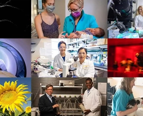 UC Davis Exceeds $1 Billion in Research Awards for 2nd Year