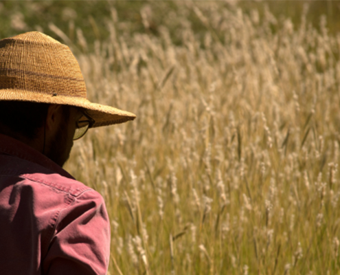 man in long sleeved shirt and hat looking out at a field