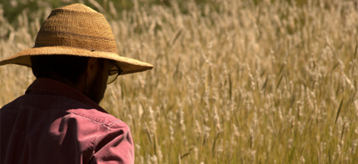 man in long sleeved shirt and hat looking out at a field