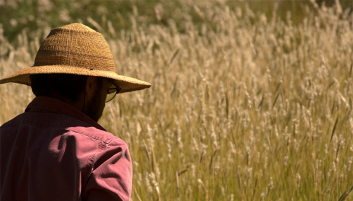 man in long sleeved shirt and hat looking out at a field